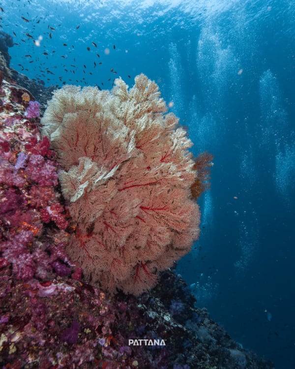North Andaman