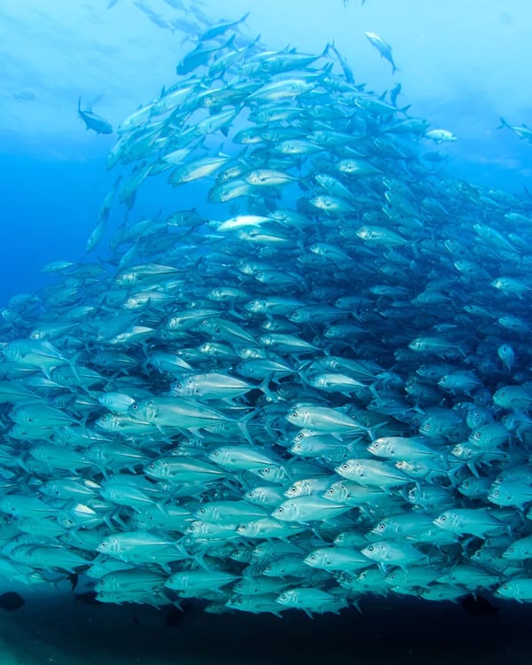 Palau