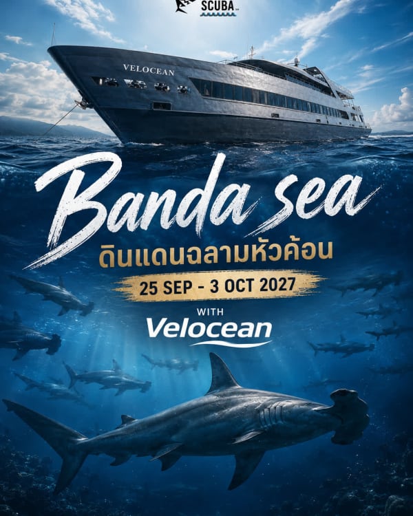 B18. Ambon – Banda Sea