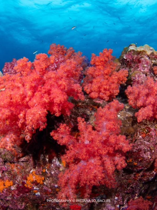 South Andaman