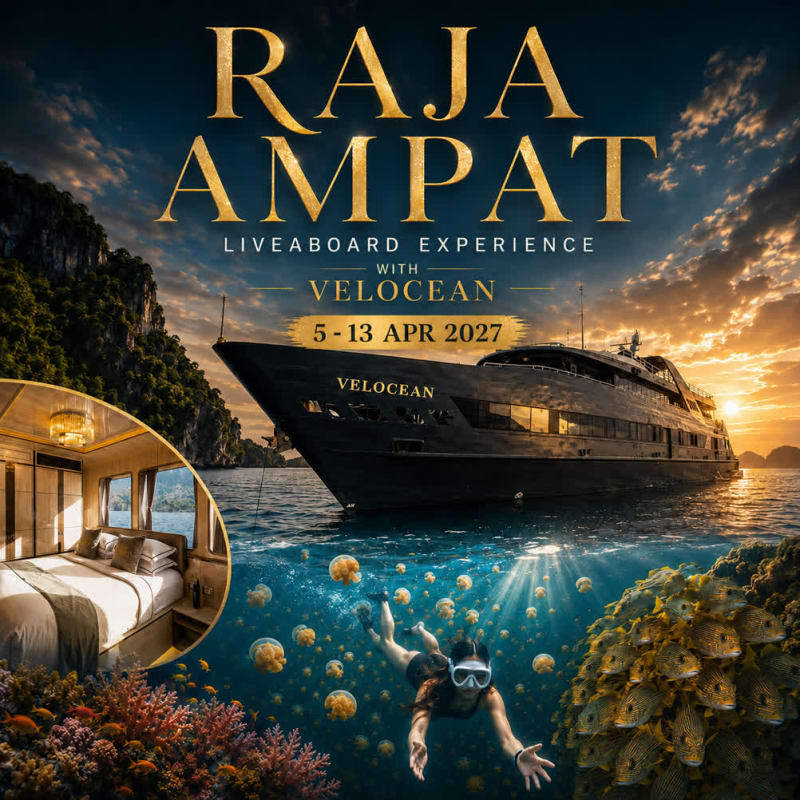 Raja Ampat - Misool