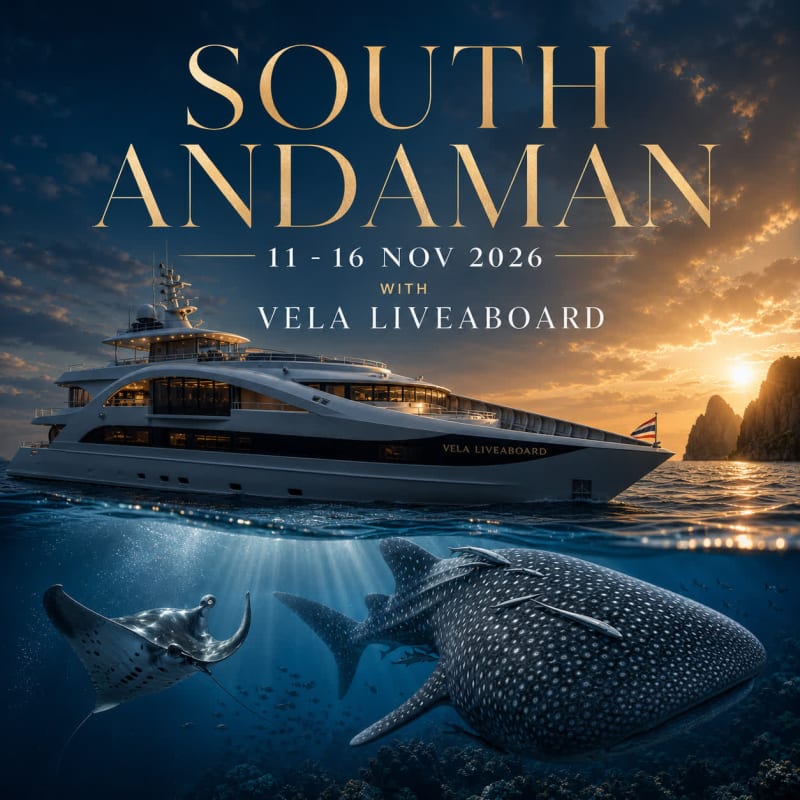 South Andaman