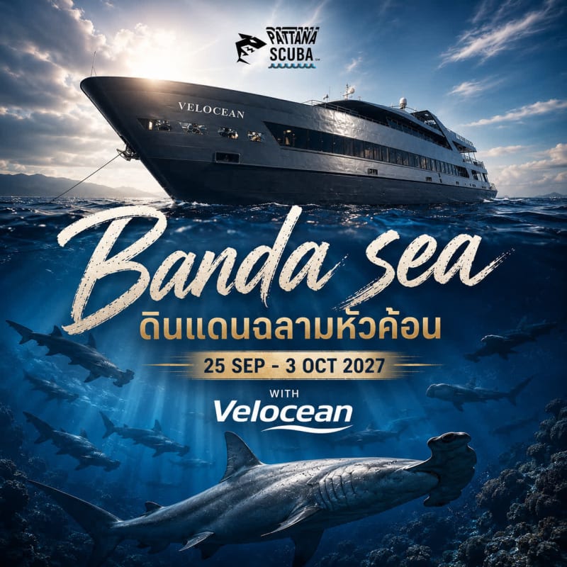 B18. Ambon – Banda Sea