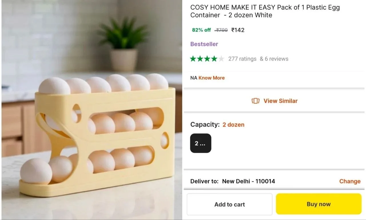 Egg Container (2 Dozen) at ₹142