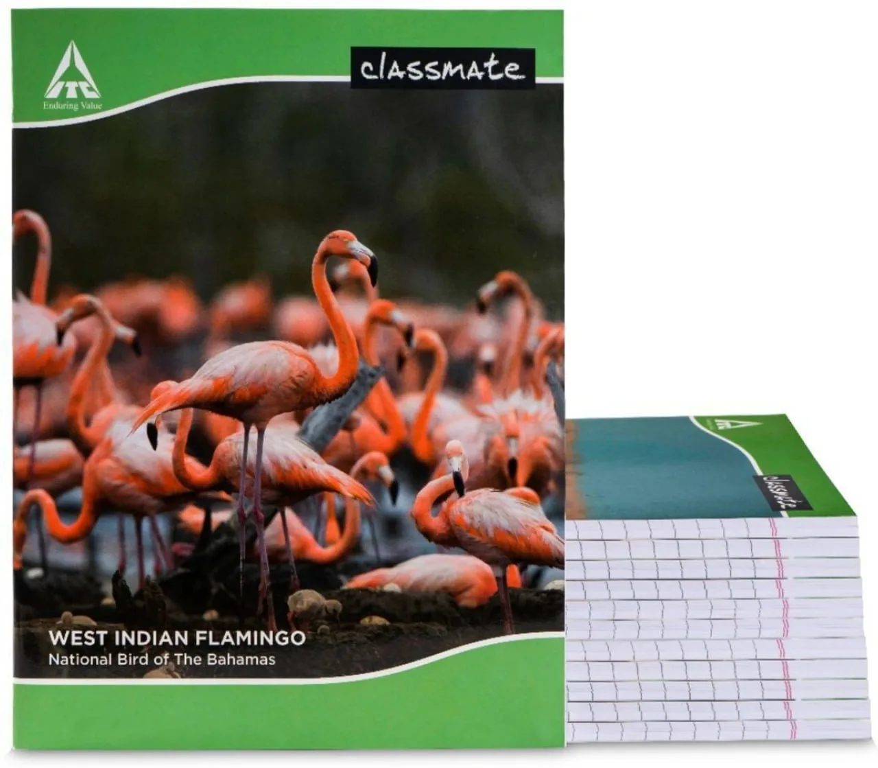 Classmate Notebook Single Line 172 Pages , Set Of 12 At Rs.285