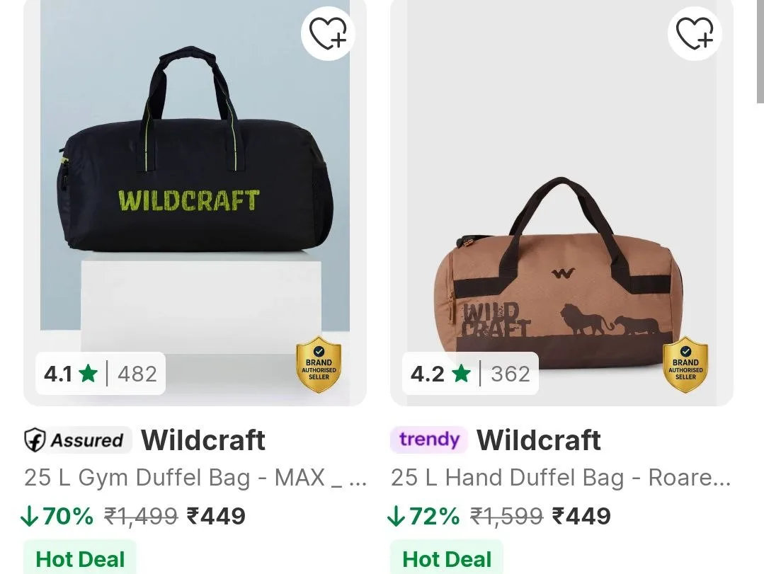 Skybags