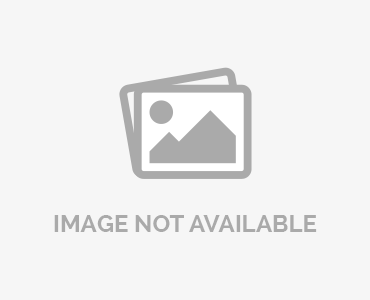 Hemicordulia tenera