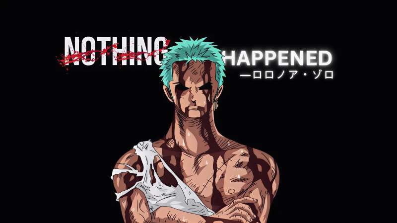 Zoro Nothing Happened
