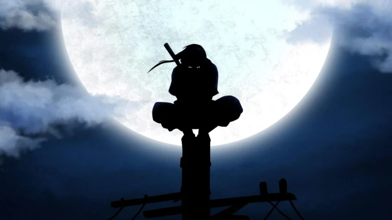 Silhouette Under the Moon