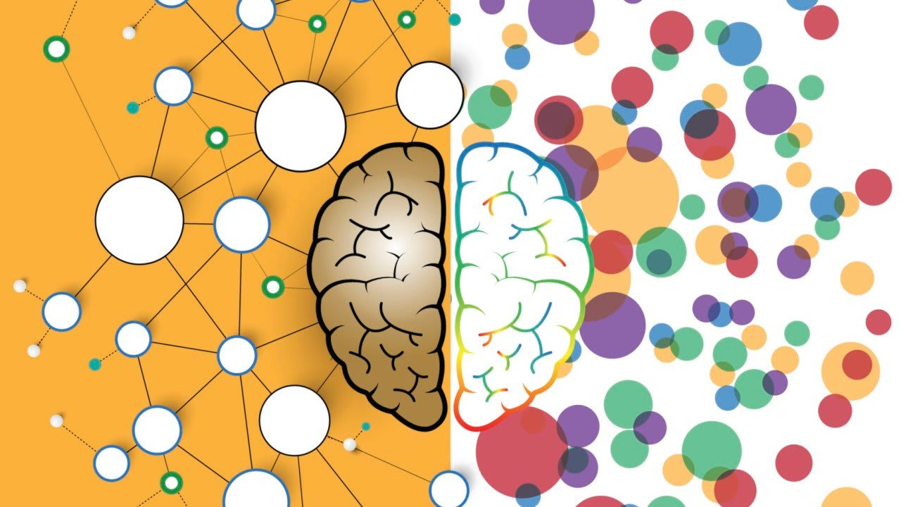 left and right brain functions concept, analytical vs creativity