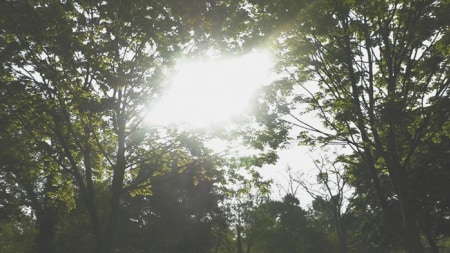 video_thumbnail_maisons_la