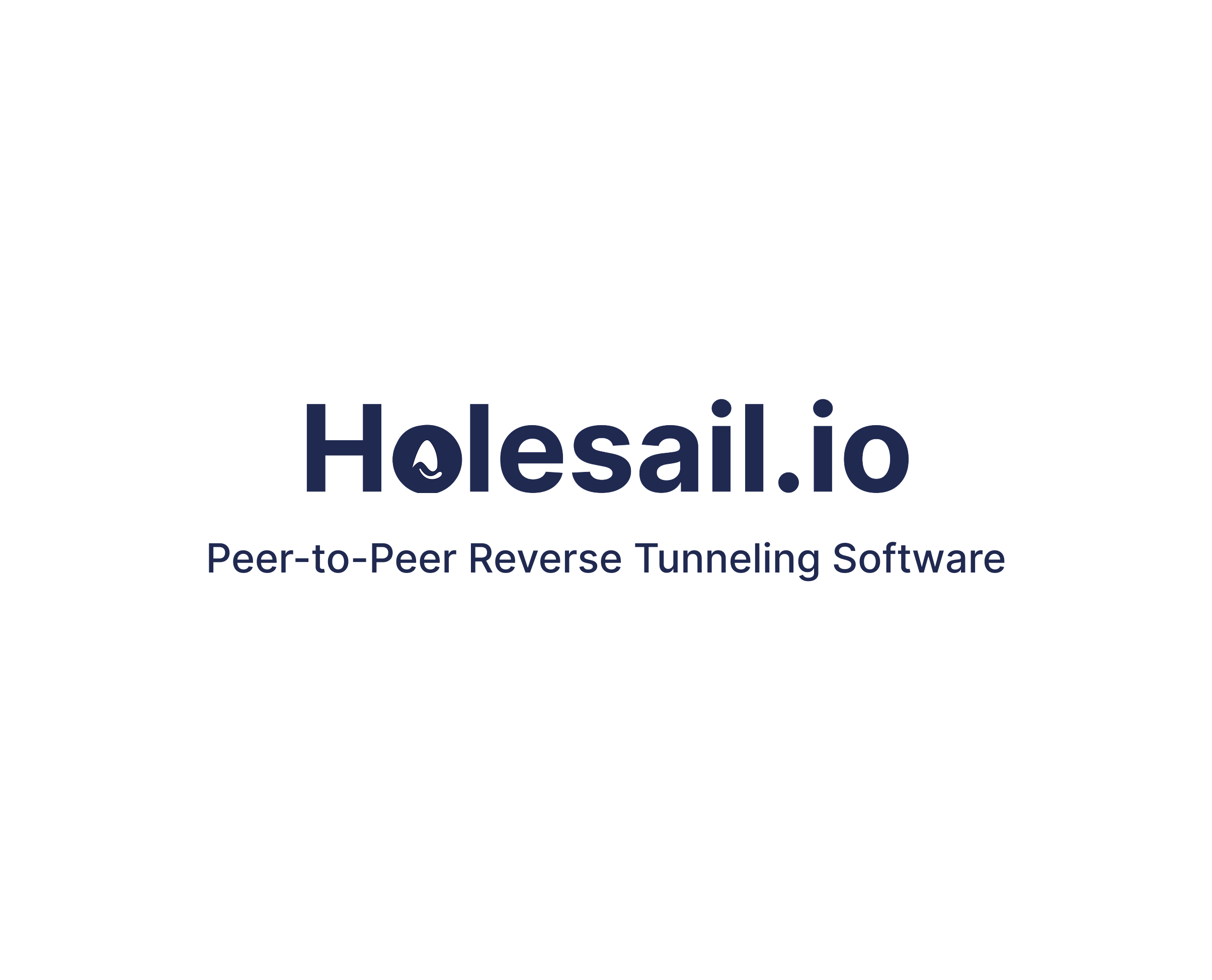 Holesail Go - Peer-to-Peer Reverse Tunneling