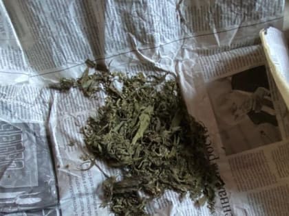 Сверток газеты с марихуаной под крышкой телевизора нашли полицейские в Липецкой области