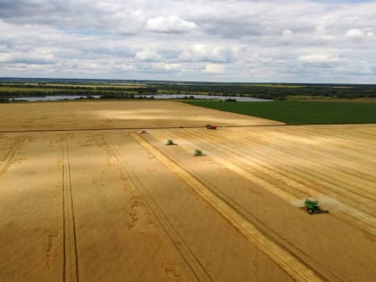 Потерявшие урожай из-за заморозков липецкие аграрии получат 4,5 млрд рублей