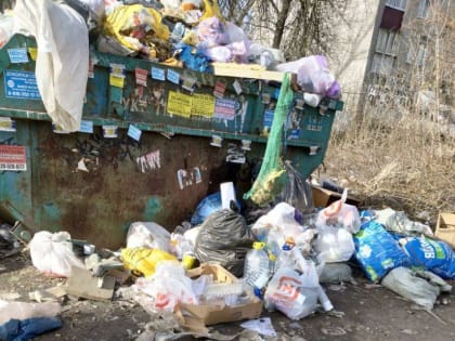 Мусорный коллапс в Липецке набирает обороты