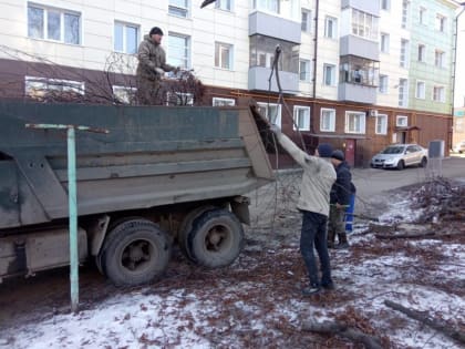 Единоросс помог организовать вывоз ветвей деревьев