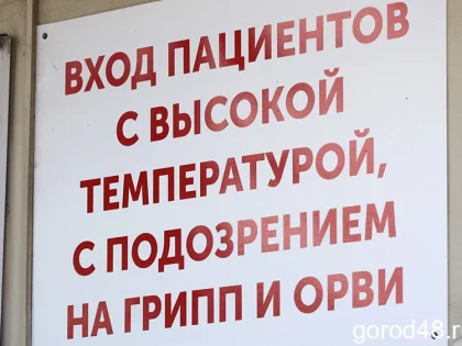 За праздничную неделю с ОРВИ к врачам обратились 2053 человека