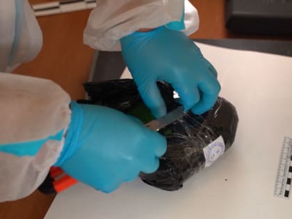 В Липецкой области задержали курьера с почти килограммом наркотика 