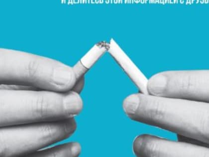 Рациональное питание – главная мера профилактики болезней органов ЖКТ