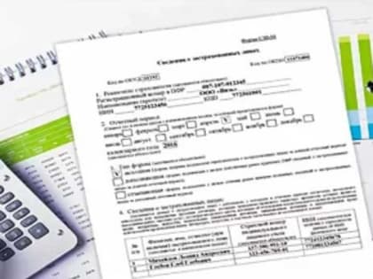 С 1 января работодатели могут отчитываться  по единой форме
