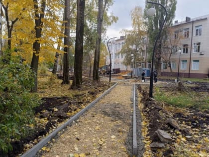 Единороссы проконтролировали ход работ на территории общественного пространства