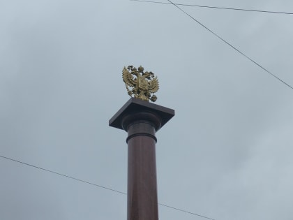 Первый «научный» год затронул около 100 миллионов россиян