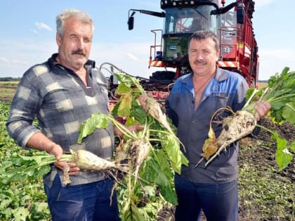 Липецкие аграрии увеличат площади под техническими культурами в 2023 году