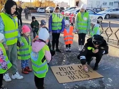 В детсадах Липецкой области малышей учат безопасности дорожного движения
