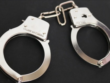 Судимые братья обокрали 90-летнюю липчанку