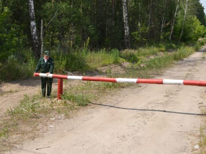 Посещение лесов в регионе временно ограничено до 30 июня