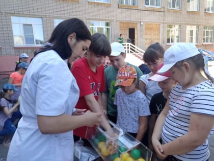 «Пусть лето будет здоровым!»  Под таким девизом в Липецке  состоялась детская профилактическая акция «Здоровое лето»