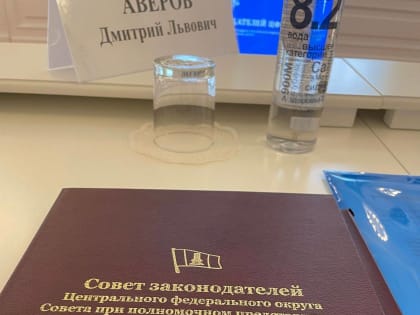 Дмитрий Аверов представил проекты Липецкой области на Совете законодателей ЦФО