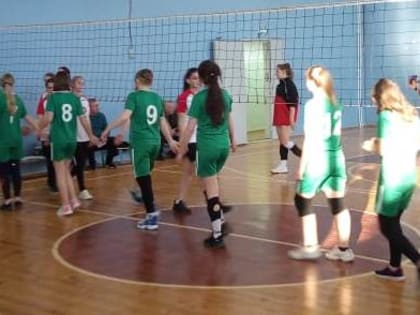 Участие в областных соревнованиях по волейболу среди девушек