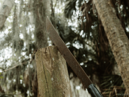 Пьяный липчанин выгонял бывшую жену из дома, угрожая ей мачете