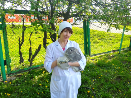 МИКСОМАТОЗ КРОЛИКОВ