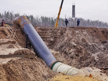 Сегодня в Липецке: заявления на ЕГЭ, обледеневшие дороги и мы гордимся кроликами