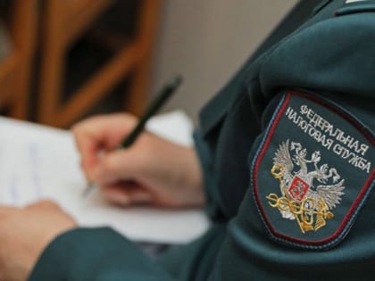 Арбитражный суд Липецкой области принял сторону налогового органа