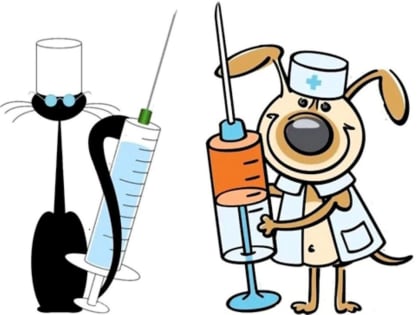 БЕШЕНСТВО - СМЕРТЕЛЬНАЯ ИНФЕКЦИЯ!