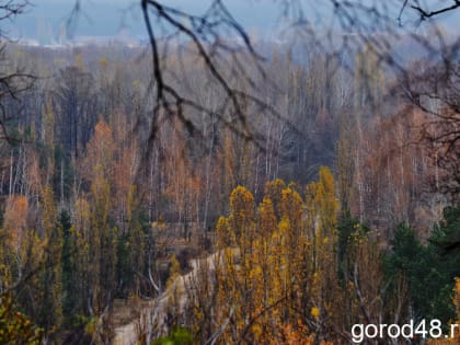 В Липецкой области продолжает холодать: днем дожди и до +13