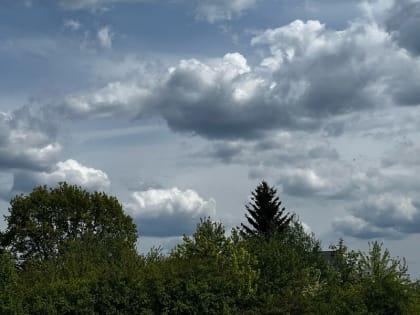 Поддержка предприятий