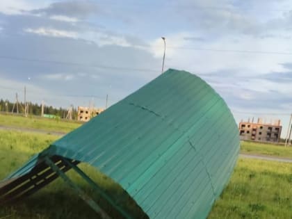 Ураган в Задонске вырвал деревья и повалил остановку