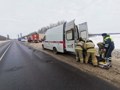 Липецкие спасатели освободили зажатого в салоне водителя после ДТП на трассе Дон