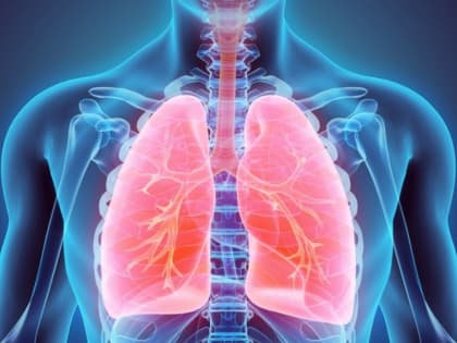 Болезни органов дыхания относятся к наиболее часто встречающимся сегодня среди населения недугам