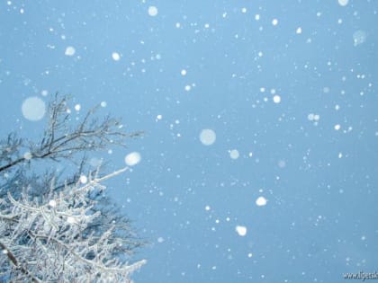 Мокрый снег и небольшой ветер придут в Липецк 4 января