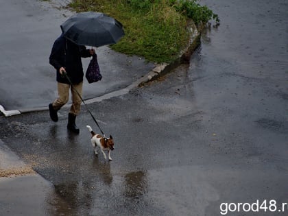 В Липецкую область приходит похолодание