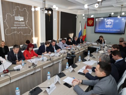 Участие в заседании комитета Липецкого областного Совета депутатов