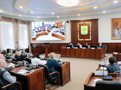 Евгения Фрай: НКО становятся профессионалами в своей сфере