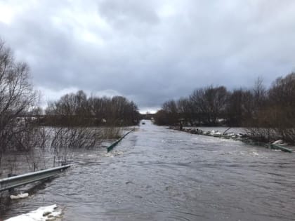 Весенний паводок в Липецкой области будет сильным