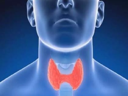 Все ли в порядке с щитовидной железой ?