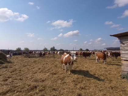 Интересное начало нового учебного года воскресных школ “Возрождение” и “Лампада” Чаплыгинского благочиния